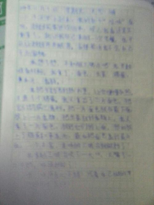 运动会的组成：紧张紧张的运动会_1200字