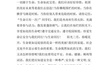 关于分数_1000字