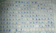 五年级期中考试作文：令我难忘的一件事_450字