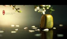 忍受痛苦，拥抱美丽_750字