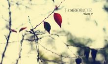 《爱与不爱》诗歌