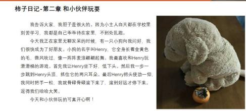 柿子生长过程观察日记