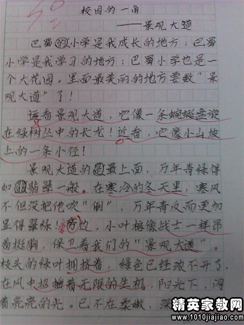 四年级上作文：关心妈妈（3）_400字