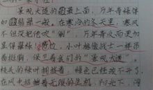 四年级写人作文：关心我的妈妈（三）_400字