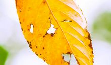 能哭出来才能笑对生活