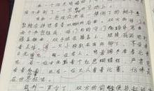 我爱，但不能_350字