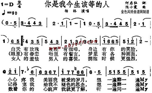 你是我一生都在等待的人_250字