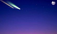 别让爱太沉重_700字