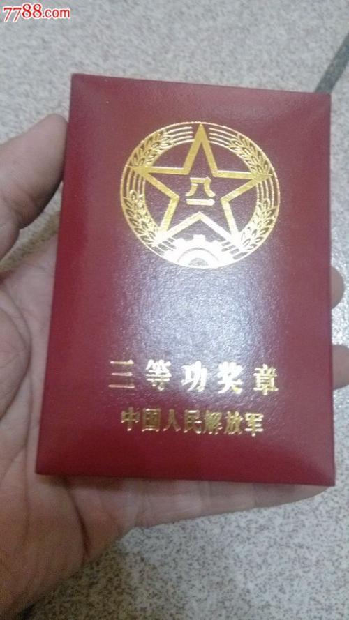 伟大的母爱_800字