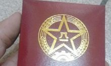 伟大的母爱_800字