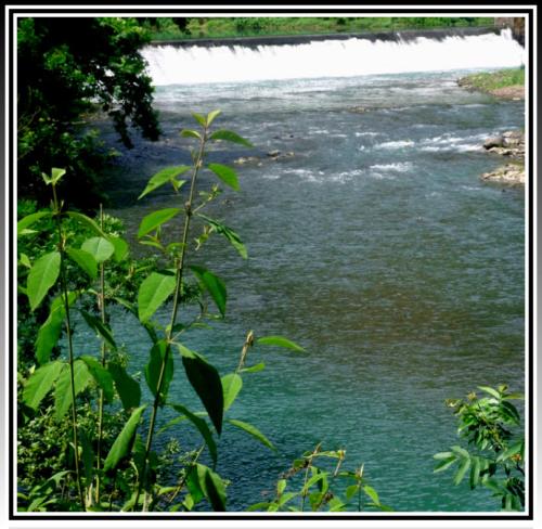 淡水河的骄傲_550字