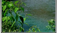 丹水河畔的骄傲_550字