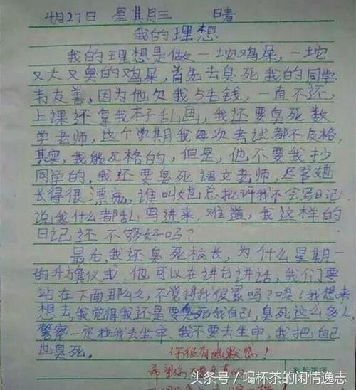 有趣的作文和老师的评论
