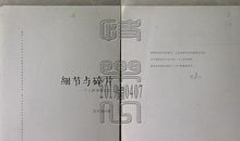 《一个人》诗歌