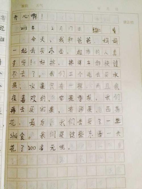 日记·母亲的假期_100字