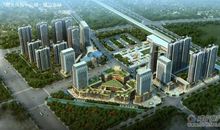 冉冉升起的友谊_800字