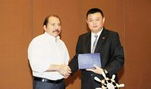 王靖淋个人简介