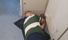 费佳妮个人简介