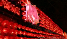 元宵节优美段落：观元霄节灯会段落_650字