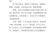 我做了一项小实验作文400字