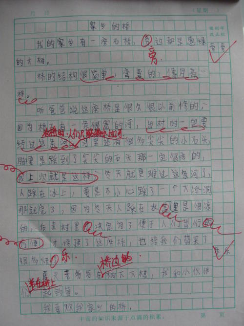 我学会了做饺子_200字