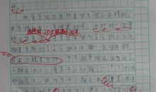 我学会了包饺子_200字