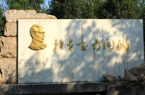 大学印象_450字