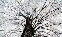 2018年贵州铜仁中考作文范文三：这才是真正的英雄_650字