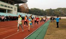 运动会赞接力赛_100字