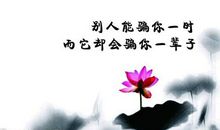 无法抹去时间的痕迹_300字