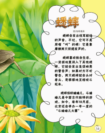 “蝉”-阅读_500字后
