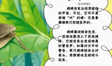 《蝉》——读后感_500字