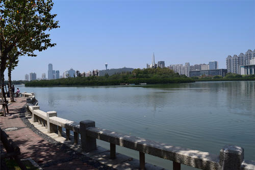 南湖公园游记