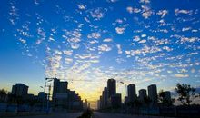 都市的早晨_800字