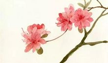 [新年祝福征文]落入花丛中的雨_650字