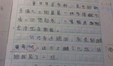 [寒假趣事征文]_900字