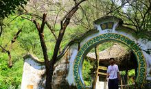 生活需要雅致的情怀_750字