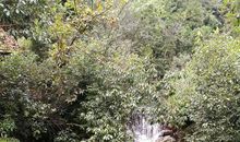 磐安一日游_400字