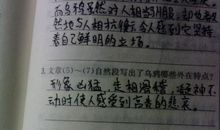 排比句：常用的排比句_3000字