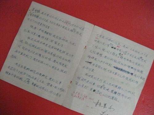 坚持最美（组成修改和注释）_2000字