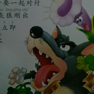 明智的战斗大灰狼
