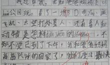 日记·期末考试感受_150字