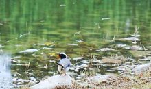 晋商公园，晋商故里的一块明珠……