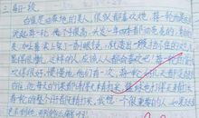 《跳骚和教授》读后感_150字