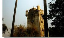 【暑假征文】——为未来寻找归宿_1200字