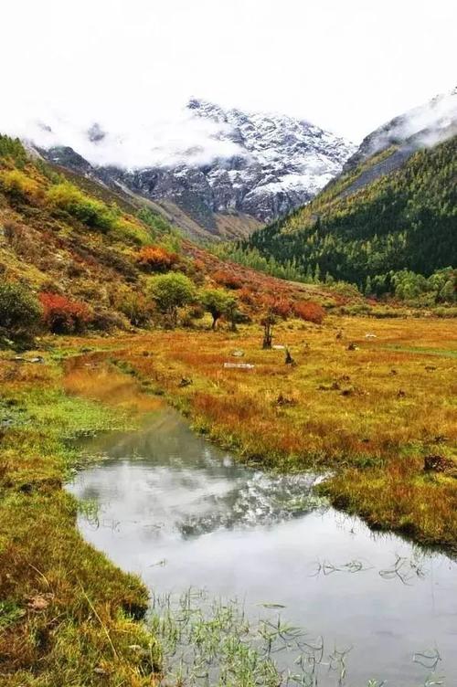 隐藏在那个角落的风景