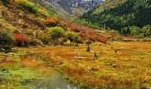 藏在那一角的风景