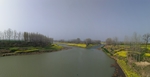 Rural Creek_500字