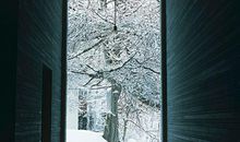 窗外的美丽_600字