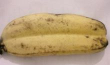 香蕉也有双胞胎？_300字